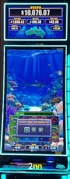 A Experiência Imersiva dos Cassinos Ao Vivo no 2nn